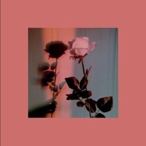 Meet your Posher, Dannah